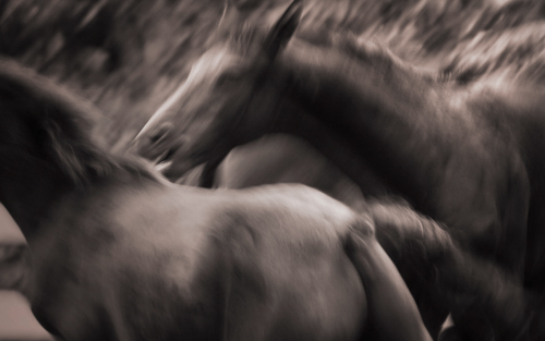 Project Foundations - Images Made 2003 to 2023